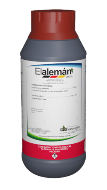 ALEMAN