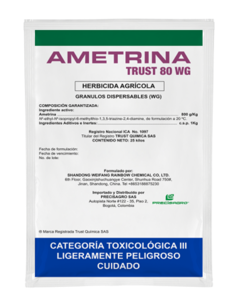AMETRINA TRUST