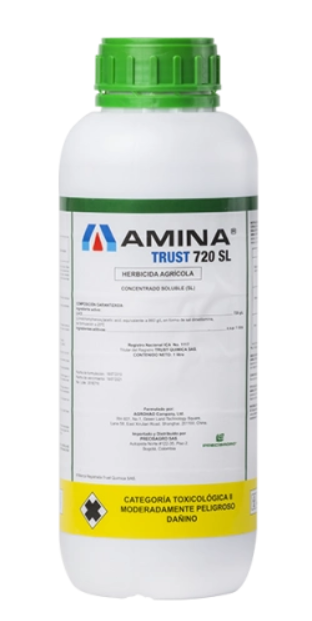AMINA TRUST