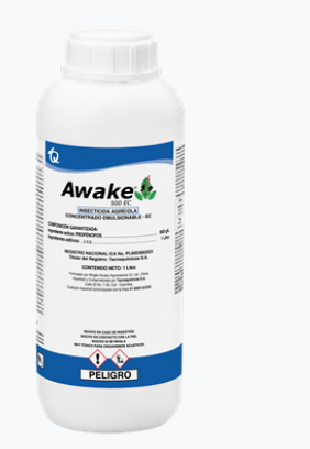 AWAKE