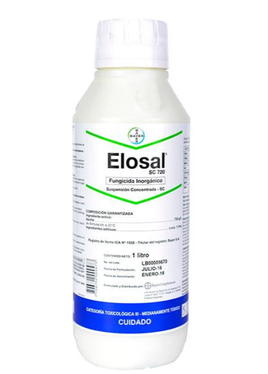 ELOSAL