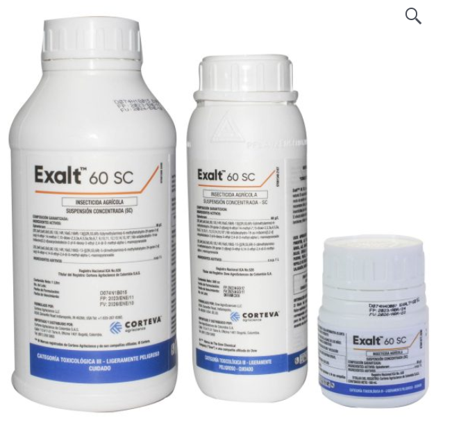 EXALT