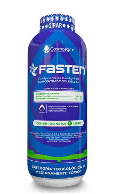 FASTEN