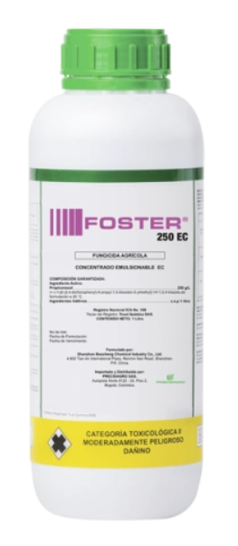 FOSTER