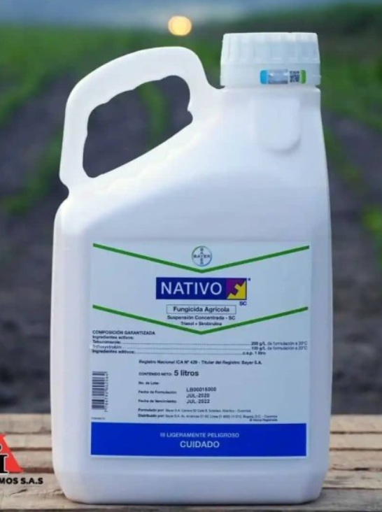 NATIVO