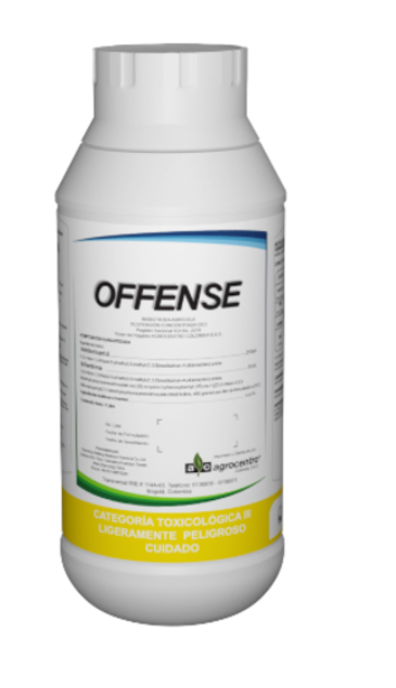OFFENSE
