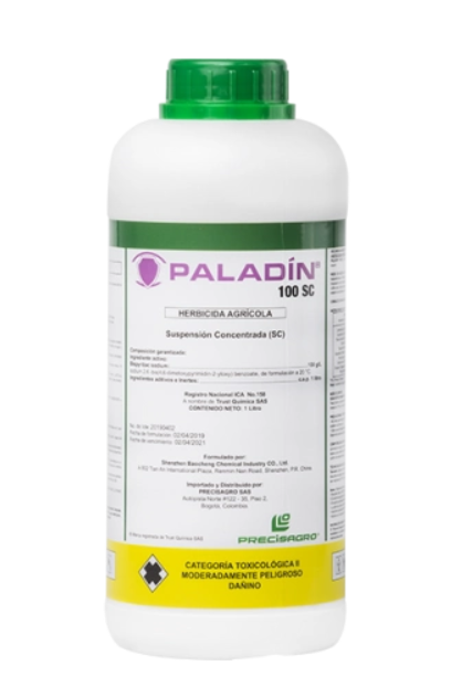 PALADIN