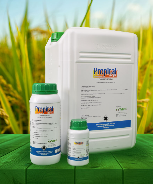 PROPITAL