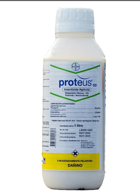 PROTEUS