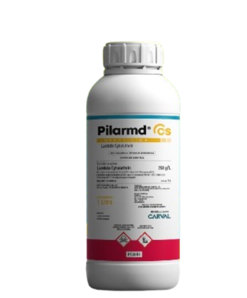 Pilarmd