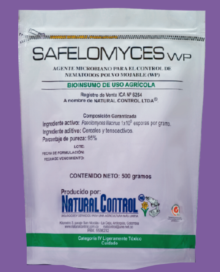 SAFELOMYCES