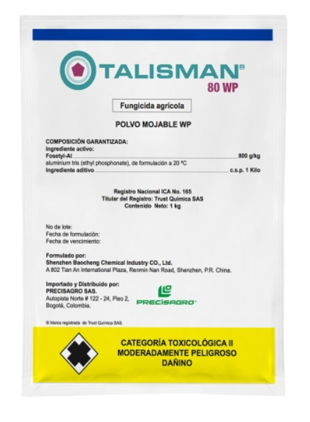 TALISMAN