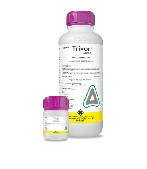 TRIVOR