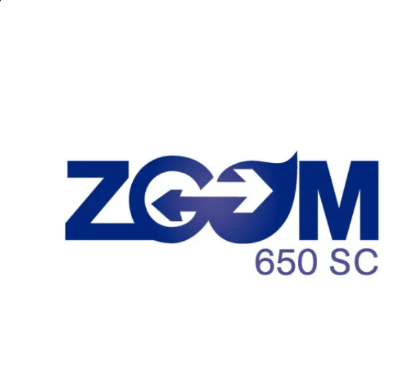ZOOM