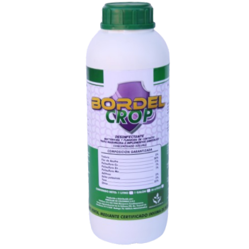 BORDEL-CROP