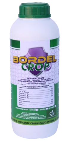 BORDEL-CROP