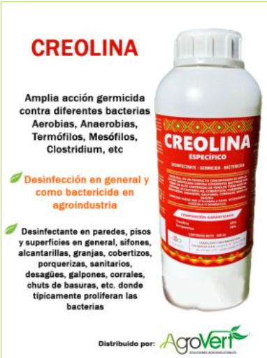 CREOLINA