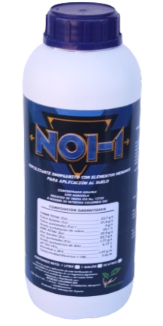 NOI-1