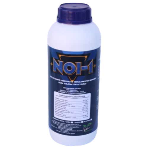 NOI-1